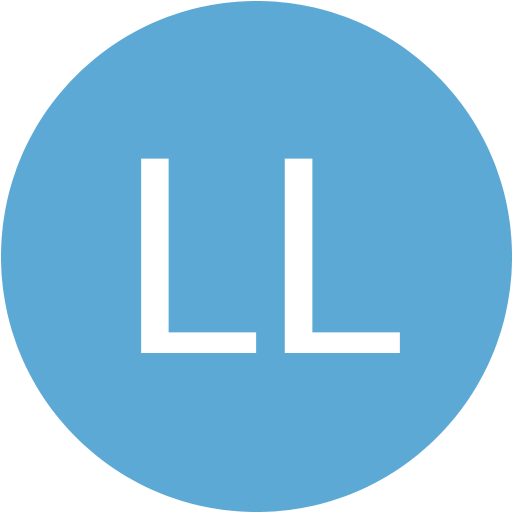 lidor levy logo