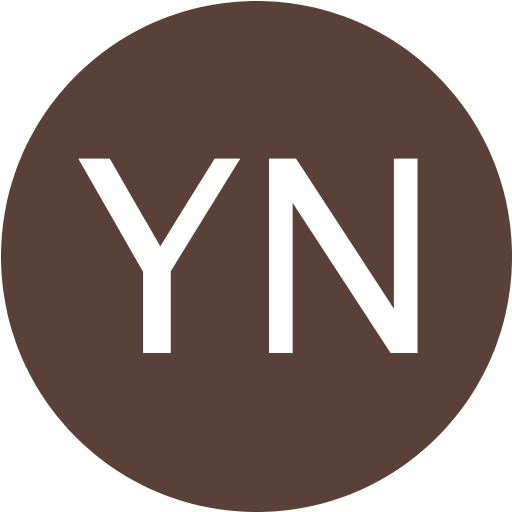 Yigal Noy logo