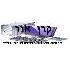 קרן אור – הקלדות, תרגומים, תמלולים ושירו