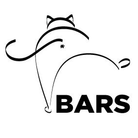 Studio BARS Profile Image