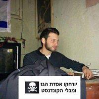 Lotem Elishav
