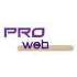 PRO Web logo