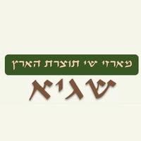 שגיא