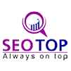 SEO-TOP logo