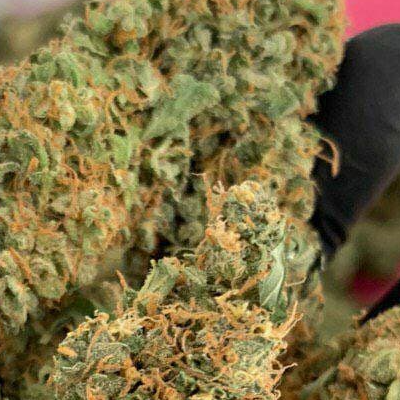 Mail Order Marijuana