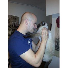 Amit Ziserman