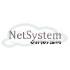 Netsystem logo