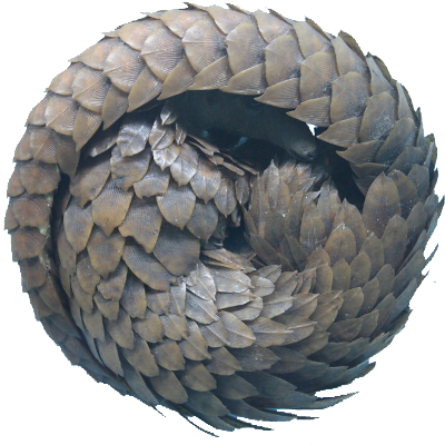 Oblisc Trade logo