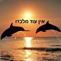 אריאל מדמון logo