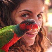 Lital Cohen-Blum
