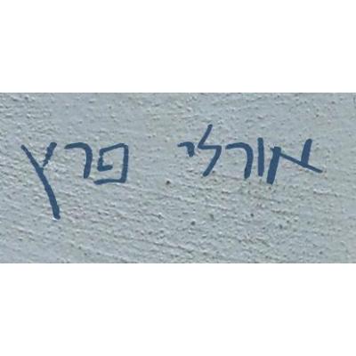 אורלי פרץ logo