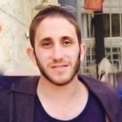 אריאל רוזנברג logo