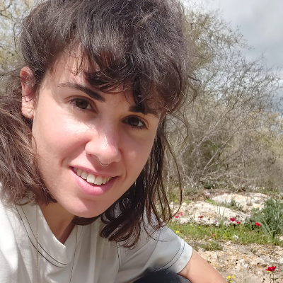 טולי עיצוב ובניית אתרים