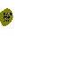גיא קמחי פסי DW FOR ALL logo