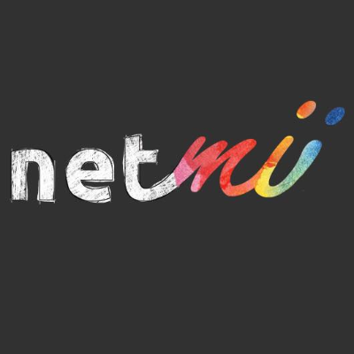 netmii - מיתוג בניה ועיצוב אתרים בהתאמה אישית logo