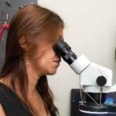 לודה שרותי הלחמות logo