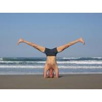Eyal Shifroni Iyengar Yoga