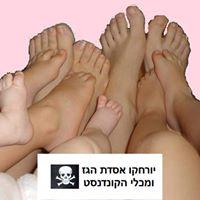 Ofra Kramer