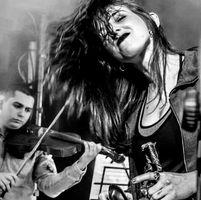 Sapir Fox