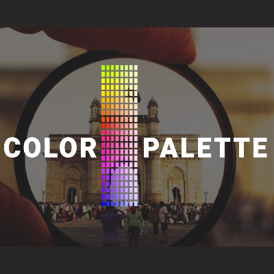 COLOR PALETTE