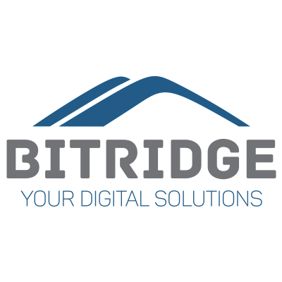 BITRIDGE LLC,