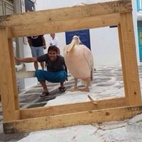 שיווק וקידום בעולם הדיגיטל logo