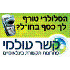 קשר עולמי