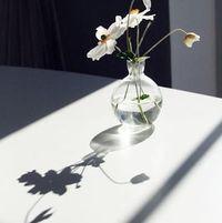 Rabab Azem