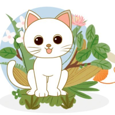 tinycat99