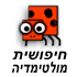 חיפושית מולטימדיה logo