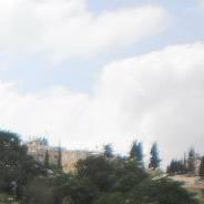 משה לוי