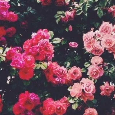 gu_li_3 gu_li_3