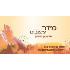 מידר עיצובים logo