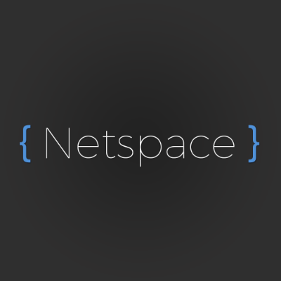Netspace - פיתוח אינטרנט logo