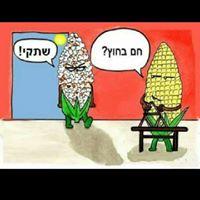 תומר כוחלני logo