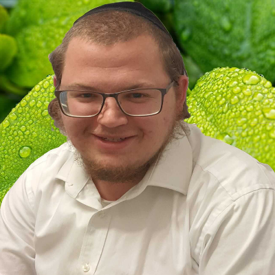 מנחם מרטינוב logo