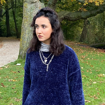 שחף גולני logo