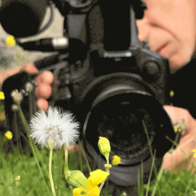 ToBe Films