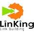 Ofer D - LinKing