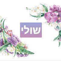שולי דודסון logo