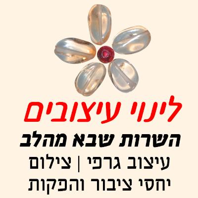 לינוי עיצובים