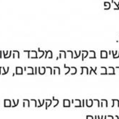 נועה גזית logo