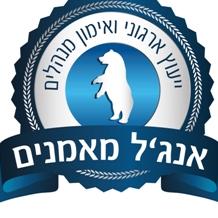 bigangel logo