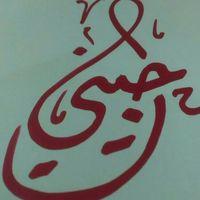 ג'ני לוי logo