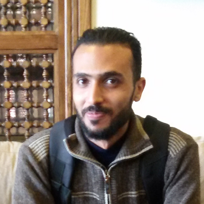 Translator / Subtitler