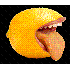 LEMON-DESIGN logo