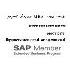 אריה משה-SAP Business One
