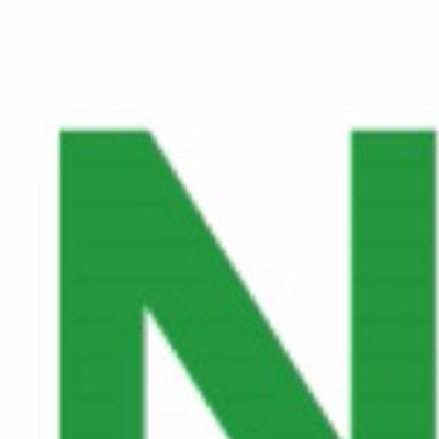 Rinat Computerized Systems logo