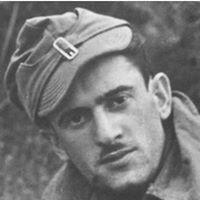 אור לביא logo