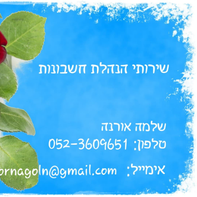 שלמה אורנה logo